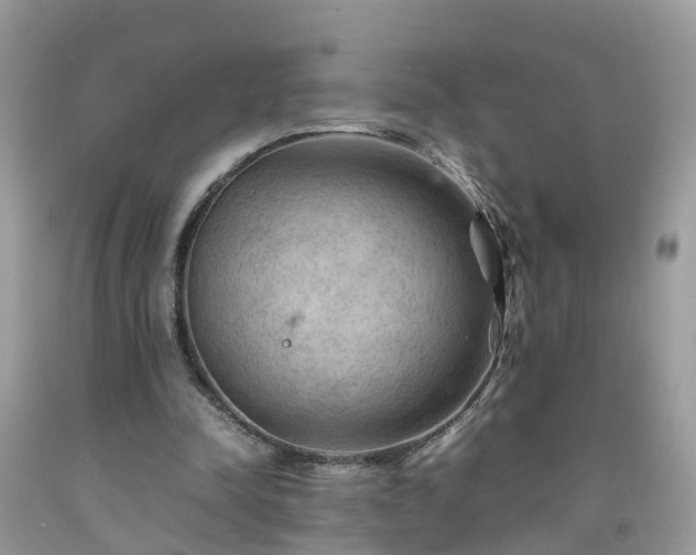 X0000092050342200709191125