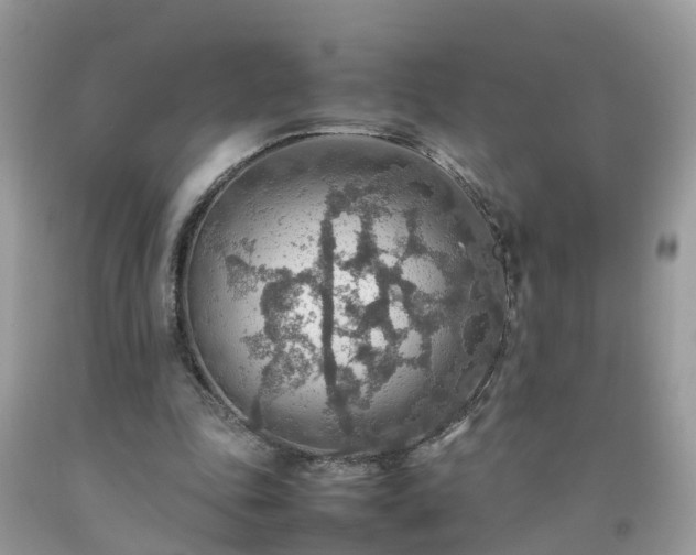 X0000092050343200709191125