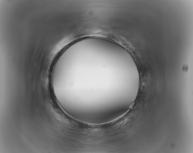 X0000092050344200709191125