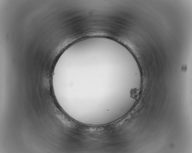 X0000092050345200709191125