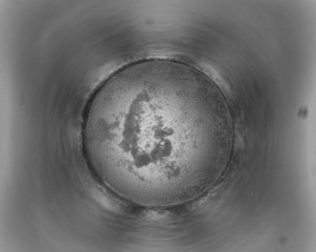 X0000092050346200709191125