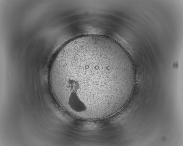 X0000092050347200709191125