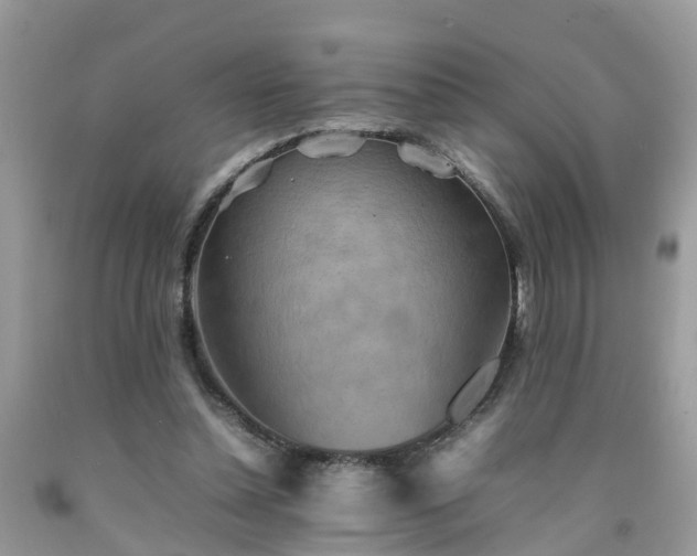 X0000092050348200709191125