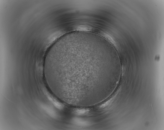 X0000092050349200709191125