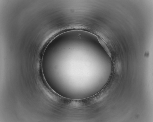 X0000092050350200709191125