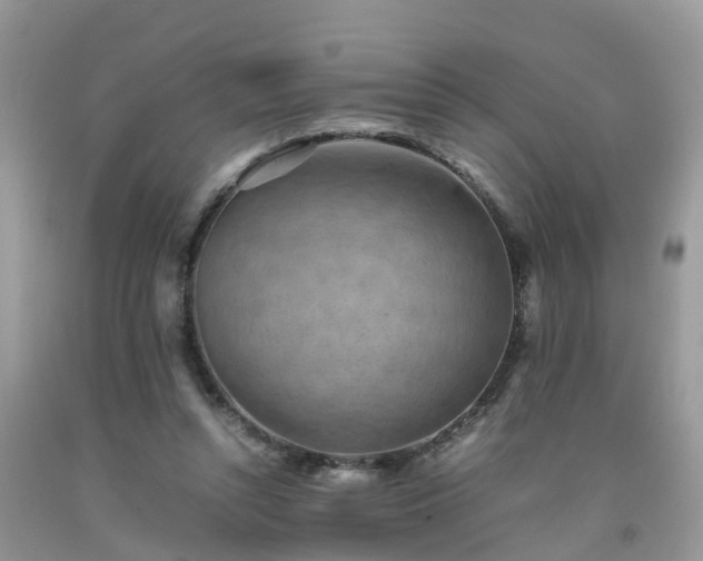 X0000092050352200709191125