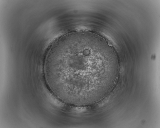 X0000092050353200709191125