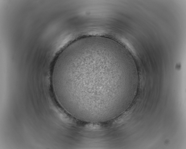 X0000092050354200709191125