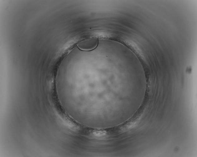 X0000092050355200709191125