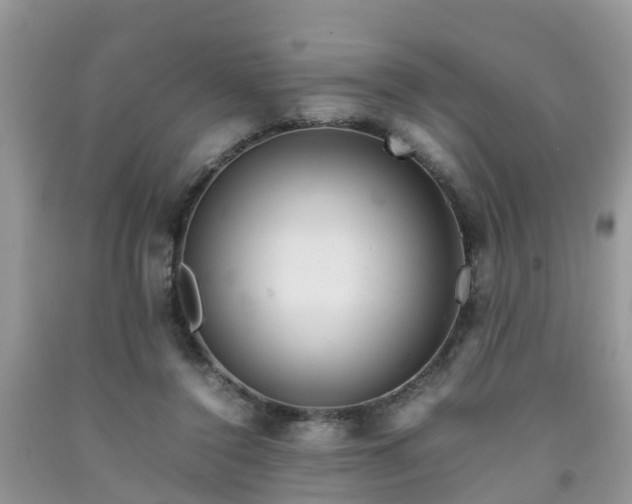 X0000092050356200709191125