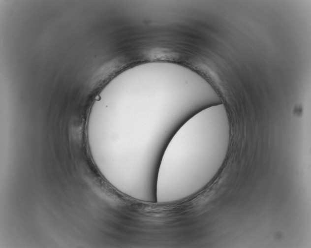 X0000092050357200709191125