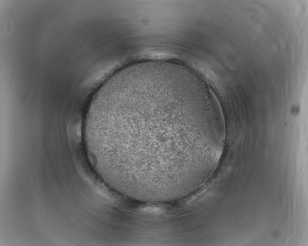 X0000092050358200709191125