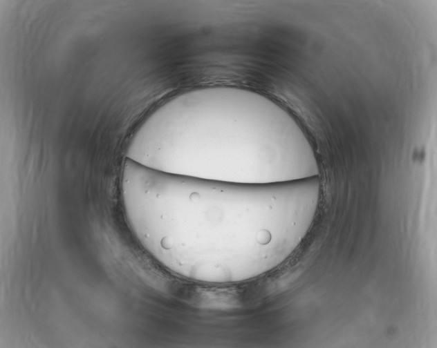 X0000092050359200709191125