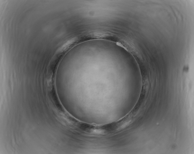 X0000092050360200709191125