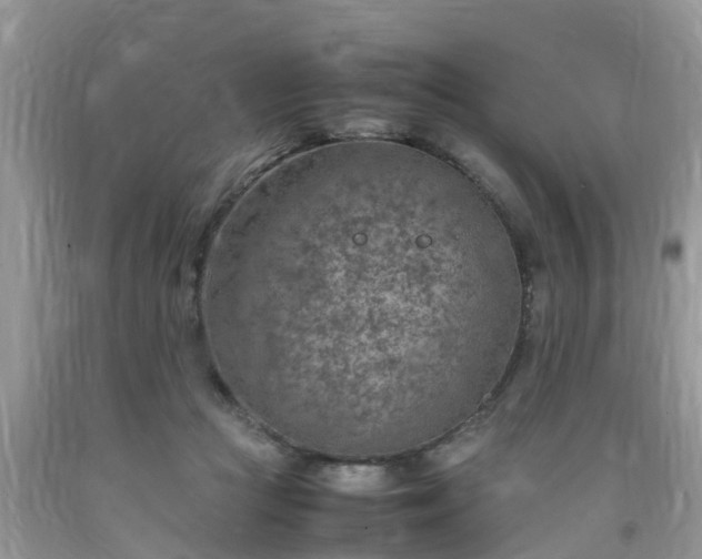 X0000092050361200709191125