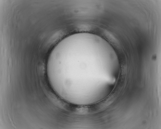 X0000092050362200709191125