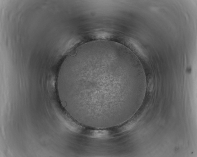 X0000092050363200709191125