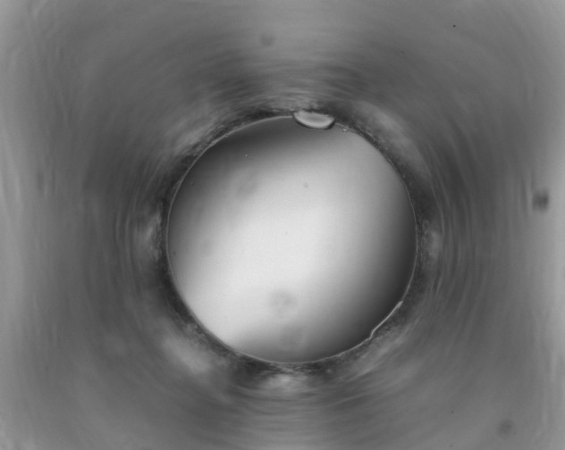 X0000092050364200709191125