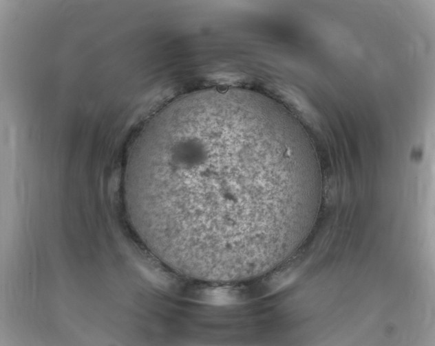 X0000092050365200709191125