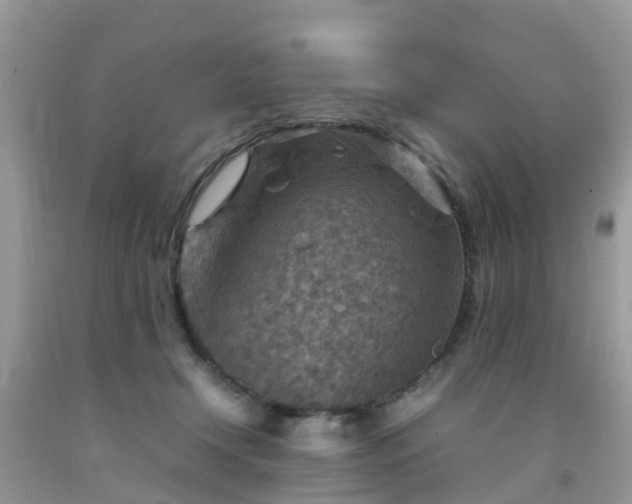 X0000092050366200709191125