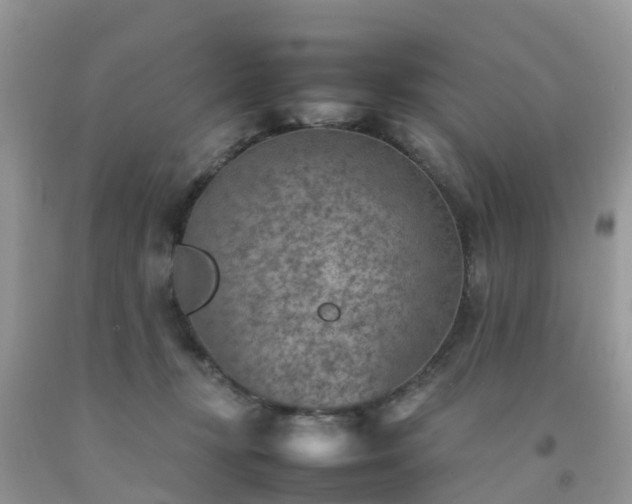 X0000092050367200709191125