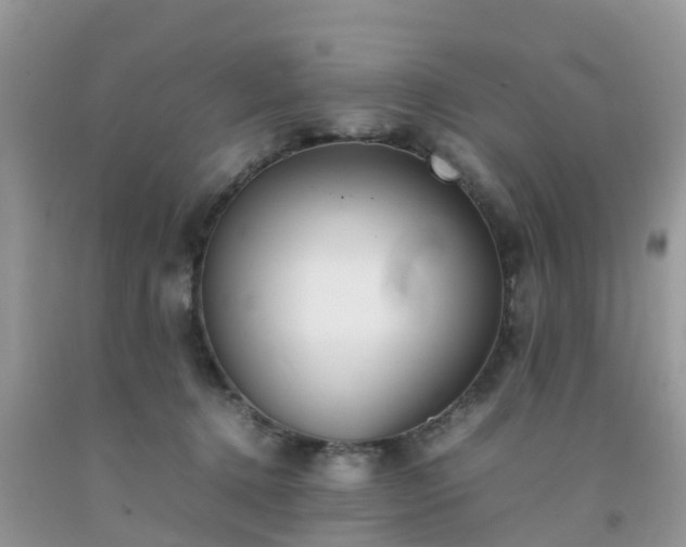 X0000092050368200709191125