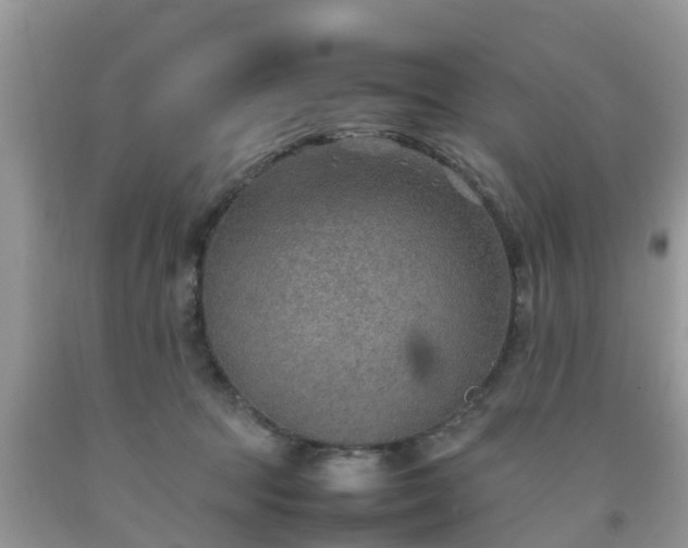 X0000092050369200709191125