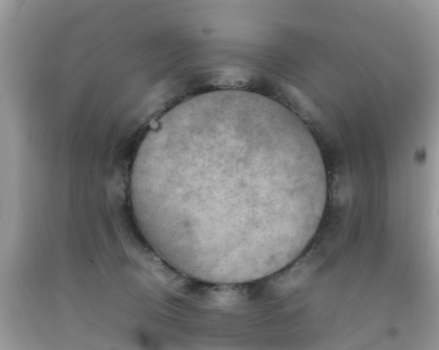 X0000092050370200709191125