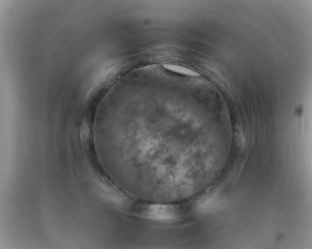 X0000092050371200709191125