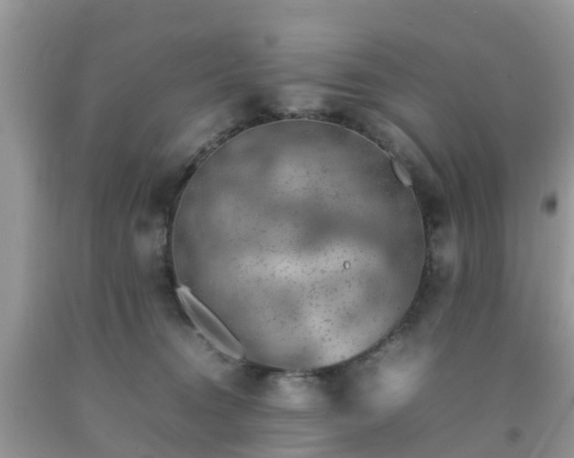 X0000092050372200709191126