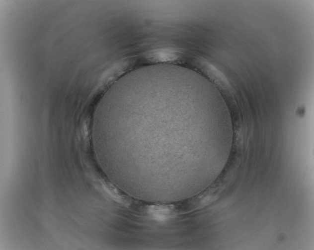 X0000092050373200709191126