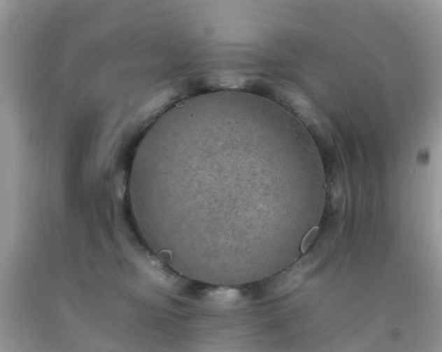 X0000092050374200709191126