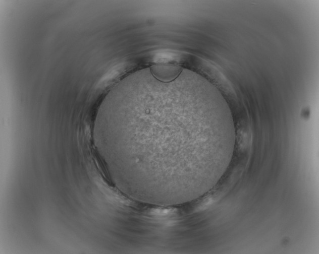 X0000092050375200709191126