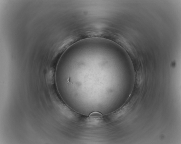 X0000092050378200709191126