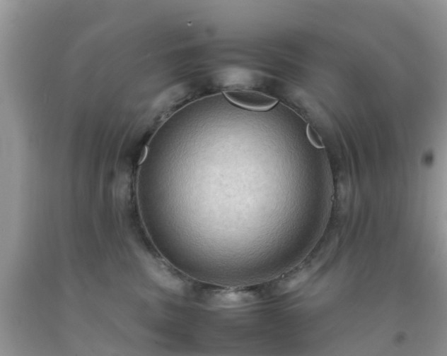 X0000092050379200709191126