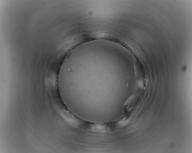 X0000092050380200709191126