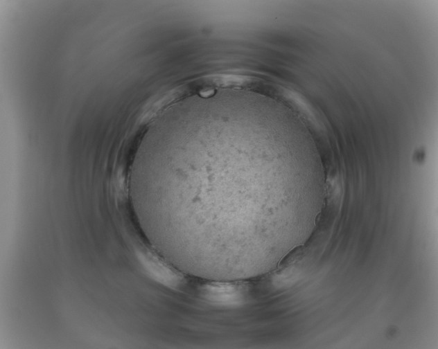 X0000092050381200709191126