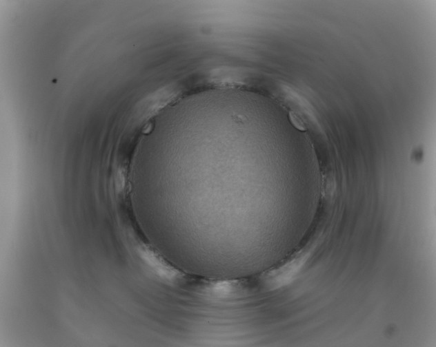 X0000092050382200709191126