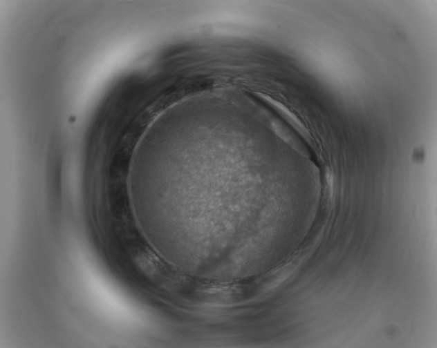 X0000092050383200709191126