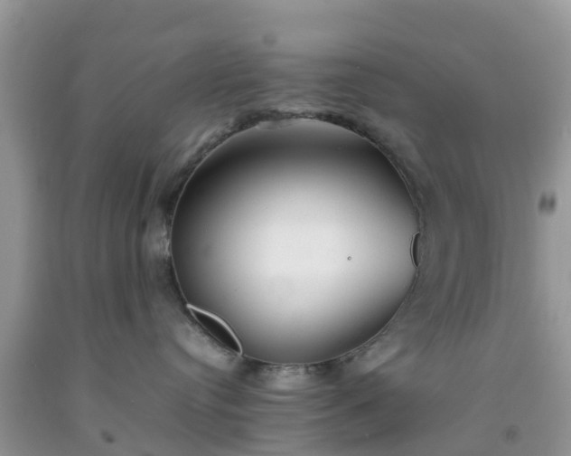 X0000092050384200709191126