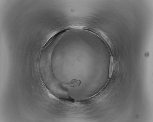 X0000092050385200709191125