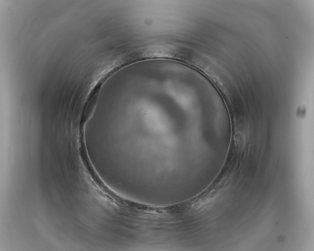 X0000092050386200709191125