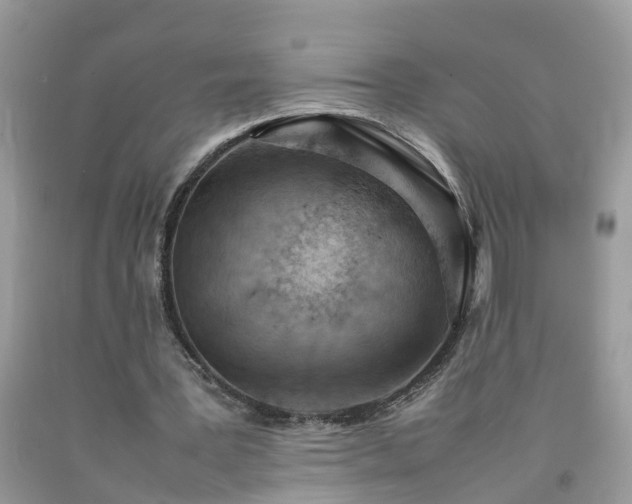 X0000092050387200709191125