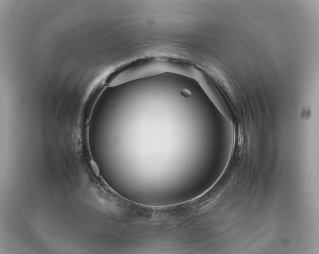 X0000092050388200709191125