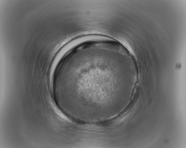 X0000092050389200709191125