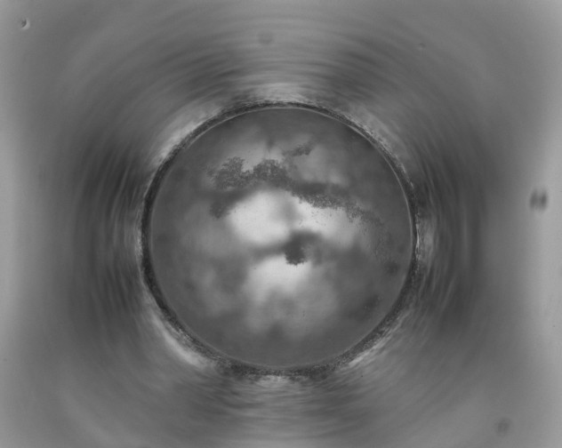 X0000092050390200709191125