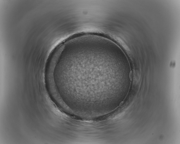 X0000092050391200709191125