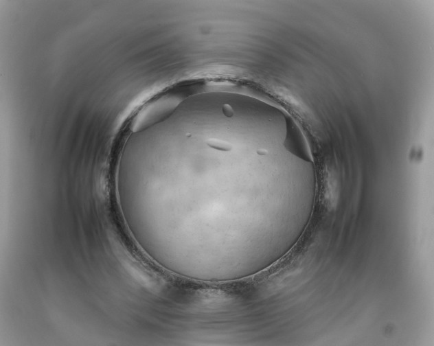 X0000092050392200709191125