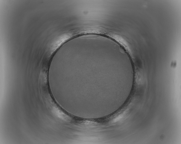 X0000092050393200709191125