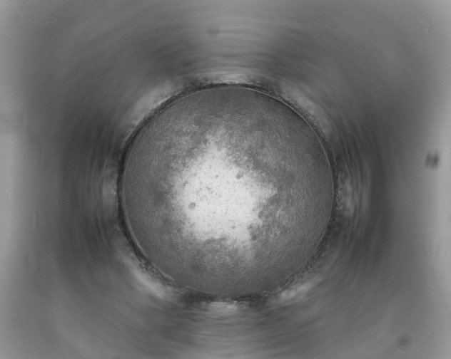 X0000092050394200709191125